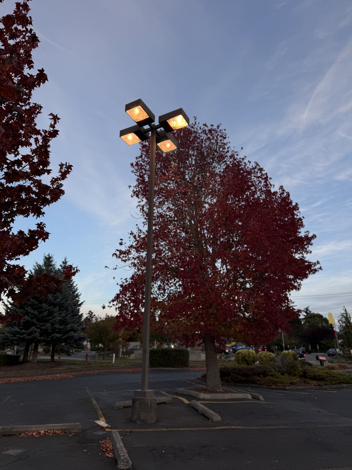 Illuminated multi-head parking-lot light pole at dusk