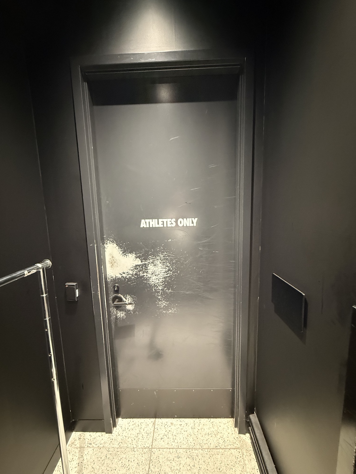 Scuffed door repainting — Before / preparation